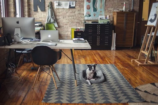 國(guó)富縱橫 國(guó)富縱橫